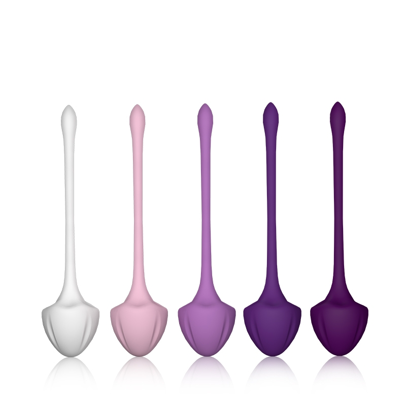 Carmine 5 Farklı Ağırlıkta Vajinal Anal Kegel Toplar ve 10 Modlu Mini Vibratör
